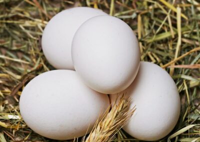 Weiße Eier im Stroh